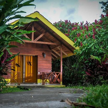 Selvita Lodge Arenal La Fortuna Exteriér fotografie